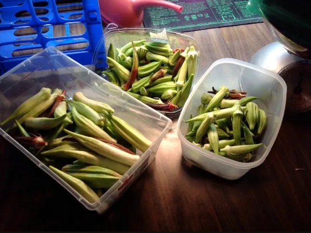 Rediscovering A Lost Local Treasure: Okra and its Occasion